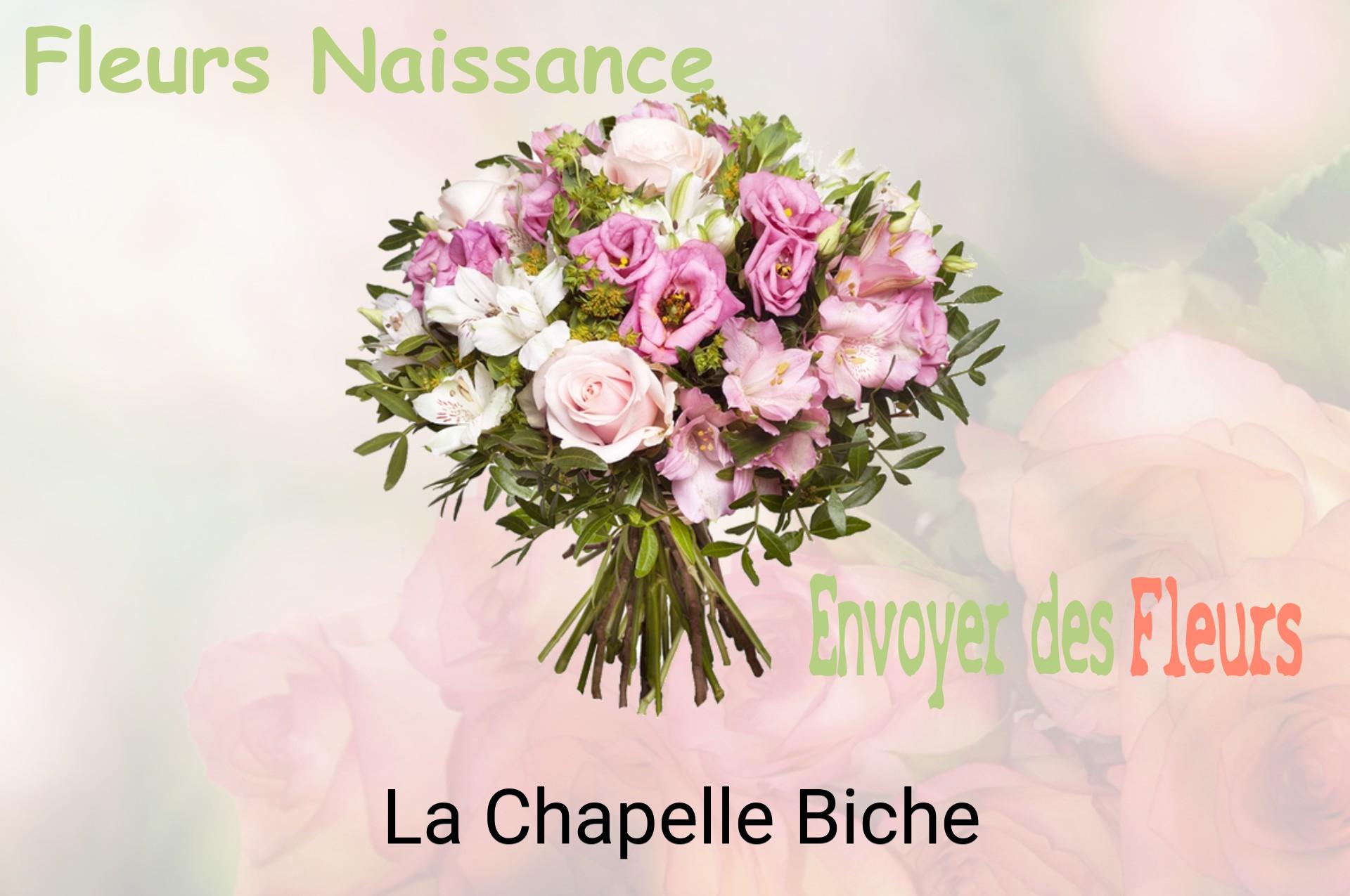 Bouquet de fleurs de naissance livré à La Chapelle-Biche